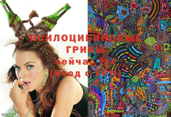 спайс Пролетарск