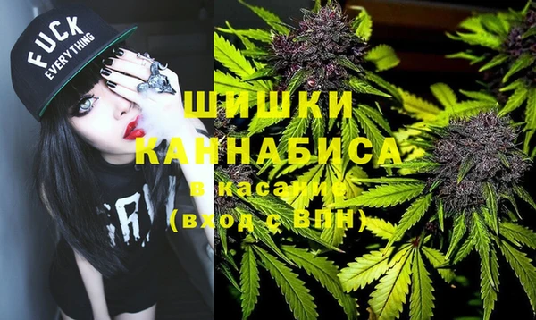 амф Протвино