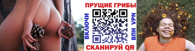 Псилоцибиновые грибы мухоморы  kraken маркетплейс  Первомайск 